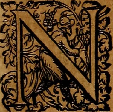 An illustration from Americæ nona & postrema pars : qua de ratione elementorum, de novi orbis natvra, de hvivs incolarvm svperstitiosis cultibus : deq; forma politiæ ac reipubl. ipsorum copiosè pertractatur : catalogo regnum Mexicanorum omnium, à primo vsq; ad vltimum Monteçuman II. additio ... : his accessit designatio illivs navigationis, quam 5. naves Hollandicae anno 1598. per fretum Magellanum in Moluccanas insulas tentarunt : quomodo nimirum oborta tempestate Capitaeus Sebalt de Weert à cæteris nauibus dispulsus, postquam plurimis mensibus in freto infinitis aerumnis miserè iactatus fuisset, tandem infectare post biennum an. 1600. domum reuersus sit : addita est tertio navigatio recens, quam 4. navium praefectus Olevier à Noort proximè suscepit ... : omnia è Germanico Latinitate donata, & insuper elegantissimis figuris æneis coornata editaq; sumptibus Theodori de Bry p.m. Viduæ & binorum filiorum, 1602, leaf 126