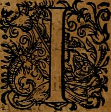 An illustration from Americæ nona & postrema pars : qua de ratione elementorum, de novi orbis natvra, de hvivs incolarvm svperstitiosis cultibus : deq; forma politiæ ac reipubl. ipsorum copiosè pertractatur : catalogo regnum Mexicanorum omnium, à primo vsq; ad vltimum Monteçuman II. additio ... : his accessit designatio illivs navigationis, quam 5. naves Hollandicae anno 1598. per fretum Magellanum in Moluccanas insulas tentarunt : quomodo nimirum oborta tempestate Capitaeus Sebalt de Weert à cæteris nauibus dispulsus, postquam plurimis mensibus in freto infinitis aerumnis miserè iactatus fuisset, tandem infectare post biennum an. 1600. domum reuersus sit : addita est tertio navigatio recens, quam 4. navium praefectus Olevier à Noort proximè suscepit ... : omnia è Germanico Latinitate donata, & insuper elegantissimis figuris æneis coornata editaq; sumptibus Theodori de Bry p.m. Viduæ & binorum filiorum, 1602, leaf 131