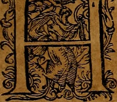 An illustration from Americæ nona & postrema pars : qua de ratione elementorum, de novi orbis natvra, de hvivs incolarvm svperstitiosis cultibus : deq; forma politiæ ac reipubl. ipsorum copiosè pertractatur : catalogo regnum Mexicanorum omnium, à primo vsq; ad vltimum Monteçuman II. additio ... : his accessit designatio illivs navigationis, quam 5. naves Hollandicae anno 1598. per fretum Magellanum in Moluccanas insulas tentarunt : quomodo nimirum oborta tempestate Capitaeus Sebalt de Weert à cæteris nauibus dispulsus, postquam plurimis mensibus in freto infinitis aerumnis miserè iactatus fuisset, tandem infectare post biennum an. 1600. domum reuersus sit : addita est tertio navigatio recens, quam 4. navium praefectus Olevier à Noort proximè suscepit ... : omnia è Germanico Latinitate donata, & insuper elegantissimis figuris æneis coornata editaq; sumptibus Theodori de Bry p.m. Viduæ & binorum filiorum, 1602, leaf 134