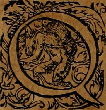 An illustration from Americæ nona & postrema pars : qua de ratione elementorum, de novi orbis natvra, de hvivs incolarvm svperstitiosis cultibus : deq; forma politiæ ac reipubl. ipsorum copiosè pertractatur : catalogo regnum Mexicanorum omnium, à primo vsq; ad vltimum Monteçuman II. additio ... : his accessit designatio illivs navigationis, quam 5. naves Hollandicae anno 1598. per fretum Magellanum in Moluccanas insulas tentarunt : quomodo nimirum oborta tempestate Capitaeus Sebalt de Weert à cæteris nauibus dispulsus, postquam plurimis mensibus in freto infinitis aerumnis miserè iactatus fuisset, tandem infectare post biennum an. 1600. domum reuersus sit : addita est tertio navigatio recens, quam 4. navium praefectus Olevier à Noort proximè suscepit ... : omnia è Germanico Latinitate donata, & insuper elegantissimis figuris æneis coornata editaq; sumptibus Theodori de Bry p.m. Viduæ & binorum filiorum, 1602, leaf 137