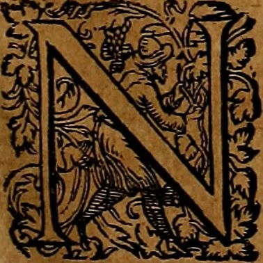 An illustration from Americæ nona & postrema pars : qua de ratione elementorum, de novi orbis natvra, de hvivs incolarvm svperstitiosis cultibus : deq; forma politiæ ac reipubl. ipsorum copiosè pertractatur : catalogo regnum Mexicanorum omnium, à primo vsq; ad vltimum Monteçuman II. additio ... : his accessit designatio illivs navigationis, quam 5. naves Hollandicae anno 1598. per fretum Magellanum in Moluccanas insulas tentarunt : quomodo nimirum oborta tempestate Capitaeus Sebalt de Weert à cæteris nauibus dispulsus, postquam plurimis mensibus in freto infinitis aerumnis miserè iactatus fuisset, tandem infectare post biennum an. 1600. domum reuersus sit : addita est tertio navigatio recens, quam 4. navium praefectus Olevier à Noort proximè suscepit ... : omnia è Germanico Latinitate donata, & insuper elegantissimis figuris æneis coornata editaq; sumptibus Theodori de Bry p.m. Viduæ & binorum filiorum, 1602, leaf 138
