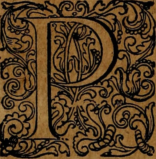 An illustration from Americæ nona & postrema pars : qua de ratione elementorum, de novi orbis natvra, de hvivs incolarvm svperstitiosis cultibus : deq; forma politiæ ac reipubl. ipsorum copiosè pertractatur : catalogo regnum Mexicanorum omnium, à primo vsq; ad vltimum Monteçuman II. additio ... : his accessit designatio illivs navigationis, quam 5. naves Hollandicae anno 1598. per fretum Magellanum in Moluccanas insulas tentarunt : quomodo nimirum oborta tempestate Capitaeus Sebalt de Weert à cæteris nauibus dispulsus, postquam plurimis mensibus in freto infinitis aerumnis miserè iactatus fuisset, tandem infectare post biennum an. 1600. domum reuersus sit : addita est tertio navigatio recens, quam 4. navium praefectus Olevier à Noort proximè suscepit ... : omnia è Germanico Latinitate donata, & insuper elegantissimis figuris æneis coornata editaq; sumptibus Theodori de Bry p.m. Viduæ & binorum filiorum, 1602, leaf 143