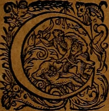 An illustration from Americæ nona & postrema pars : qua de ratione elementorum, de novi orbis natvra, de hvivs incolarvm svperstitiosis cultibus : deq; forma politiæ ac reipubl. ipsorum copiosè pertractatur : catalogo regnum Mexicanorum omnium, à primo vsq; ad vltimum Monteçuman II. additio ... : his accessit designatio illivs navigationis, quam 5. naves Hollandicae anno 1598. per fretum Magellanum in Moluccanas insulas tentarunt : quomodo nimirum oborta tempestate Capitaeus Sebalt de Weert à cæteris nauibus dispulsus, postquam plurimis mensibus in freto infinitis aerumnis miserè iactatus fuisset, tandem infectare post biennum an. 1600. domum reuersus sit : addita est tertio navigatio recens, quam 4. navium praefectus Olevier à Noort proximè suscepit ... : omnia è Germanico Latinitate donata, & insuper elegantissimis figuris æneis coornata editaq; sumptibus Theodori de Bry p.m. Viduæ & binorum filiorum, 1602, leaf 146