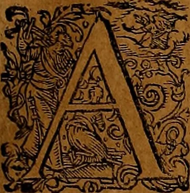 An illustration from Americæ nona & postrema pars : qua de ratione elementorum, de novi orbis natvra, de hvivs incolarvm svperstitiosis cultibus : deq; forma politiæ ac reipubl. ipsorum copiosè pertractatur : catalogo regnum Mexicanorum omnium, à primo vsq; ad vltimum Monteçuman II. additio ... : his accessit designatio illivs navigationis, quam 5. naves Hollandicae anno 1598. per fretum Magellanum in Moluccanas insulas tentarunt : quomodo nimirum oborta tempestate Capitaeus Sebalt de Weert à cæteris nauibus dispulsus, postquam plurimis mensibus in freto infinitis aerumnis miserè iactatus fuisset, tandem infectare post biennum an. 1600. domum reuersus sit : addita est tertio navigatio recens, quam 4. navium praefectus Olevier à Noort proximè suscepit ... : omnia è Germanico Latinitate donata, & insuper elegantissimis figuris æneis coornata editaq; sumptibus Theodori de Bry p.m. Viduæ & binorum filiorum, 1602, leaf 148