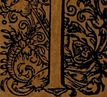 An illustration from Americæ nona & postrema pars : qua de ratione elementorum, de novi orbis natvra, de hvivs incolarvm svperstitiosis cultibus : deq; forma politiæ ac reipubl. ipsorum copiosè pertractatur : catalogo regnum Mexicanorum omnium, à primo vsq; ad vltimum Monteçuman II. additio ... : his accessit designatio illivs navigationis, quam 5. naves Hollandicae anno 1598. per fretum Magellanum in Moluccanas insulas tentarunt : quomodo nimirum oborta tempestate Capitaeus Sebalt de Weert à cæteris nauibus dispulsus, postquam plurimis mensibus in freto infinitis aerumnis miserè iactatus fuisset, tandem infectare post biennum an. 1600. domum reuersus sit : addita est tertio navigatio recens, quam 4. navium praefectus Olevier à Noort proximè suscepit ... : omnia è Germanico Latinitate donata, & insuper elegantissimis figuris æneis coornata editaq; sumptibus Theodori de Bry p.m. Viduæ & binorum filiorum, 1602, leaf 151