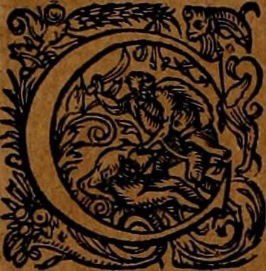 An illustration from Americæ nona & postrema pars : qua de ratione elementorum, de novi orbis natvra, de hvivs incolarvm svperstitiosis cultibus : deq; forma politiæ ac reipubl. ipsorum copiosè pertractatur : catalogo regnum Mexicanorum omnium, à primo vsq; ad vltimum Monteçuman II. additio ... : his accessit designatio illivs navigationis, quam 5. naves Hollandicae anno 1598. per fretum Magellanum in Moluccanas insulas tentarunt : quomodo nimirum oborta tempestate Capitaeus Sebalt de Weert à cæteris nauibus dispulsus, postquam plurimis mensibus in freto infinitis aerumnis miserè iactatus fuisset, tandem infectare post biennum an. 1600. domum reuersus sit : addita est tertio navigatio recens, quam 4. navium praefectus Olevier à Noort proximè suscepit ... : omnia è Germanico Latinitate donata, & insuper elegantissimis figuris æneis coornata editaq; sumptibus Theodori de Bry p.m. Viduæ & binorum filiorum, 1602, leaf 153