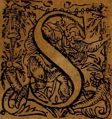 An illustration from Americæ nona & postrema pars : qua de ratione elementorum, de novi orbis natvra, de hvivs incolarvm svperstitiosis cultibus : deq; forma politiæ ac reipubl. ipsorum copiosè pertractatur : catalogo regnum Mexicanorum omnium, à primo vsq; ad vltimum Monteçuman II. additio ... : his accessit designatio illivs navigationis, quam 5. naves Hollandicae anno 1598. per fretum Magellanum in Moluccanas insulas tentarunt : quomodo nimirum oborta tempestate Capitaeus Sebalt de Weert à cæteris nauibus dispulsus, postquam plurimis mensibus in freto infinitis aerumnis miserè iactatus fuisset, tandem infectare post biennum an. 1600. domum reuersus sit : addita est tertio navigatio recens, quam 4. navium praefectus Olevier à Noort proximè suscepit ... : omnia è Germanico Latinitate donata, & insuper elegantissimis figuris æneis coornata editaq; sumptibus Theodori de Bry p.m. Viduæ & binorum filiorum, 1602, leaf 156