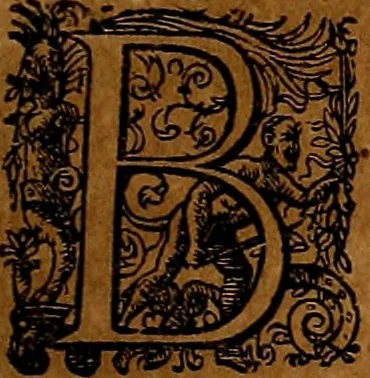 An illustration from Americæ nona & postrema pars : qua de ratione elementorum, de novi orbis natvra, de hvivs incolarvm svperstitiosis cultibus : deq; forma politiæ ac reipubl. ipsorum copiosè pertractatur : catalogo regnum Mexicanorum omnium, à primo vsq; ad vltimum Monteçuman II. additio ... : his accessit designatio illivs navigationis, quam 5. naves Hollandicae anno 1598. per fretum Magellanum in Moluccanas insulas tentarunt : quomodo nimirum oborta tempestate Capitaeus Sebalt de Weert à cæteris nauibus dispulsus, postquam plurimis mensibus in freto infinitis aerumnis miserè iactatus fuisset, tandem infectare post biennum an. 1600. domum reuersus sit : addita est tertio navigatio recens, quam 4. navium praefectus Olevier à Noort proximè suscepit ... : omnia è Germanico Latinitate donata, & insuper elegantissimis figuris æneis coornata editaq; sumptibus Theodori de Bry p.m. Viduæ & binorum filiorum, 1602, leaf 158