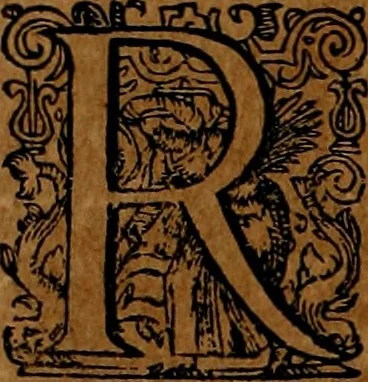 An illustration from Americæ nona & postrema pars : qua de ratione elementorum, de novi orbis natvra, de hvivs incolarvm svperstitiosis cultibus : deq; forma politiæ ac reipubl. ipsorum copiosè pertractatur : catalogo regnum Mexicanorum omnium, à primo vsq; ad vltimum Monteçuman II. additio ... : his accessit designatio illivs navigationis, quam 5. naves Hollandicae anno 1598. per fretum Magellanum in Moluccanas insulas tentarunt : quomodo nimirum oborta tempestate Capitaeus Sebalt de Weert à cæteris nauibus dispulsus, postquam plurimis mensibus in freto infinitis aerumnis miserè iactatus fuisset, tandem infectare post biennum an. 1600. domum reuersus sit : addita est tertio navigatio recens, quam 4. navium praefectus Olevier à Noort proximè suscepit ... : omnia è Germanico Latinitate donata, & insuper elegantissimis figuris æneis coornata editaq; sumptibus Theodori de Bry p.m. Viduæ & binorum filiorum, 1602, leaf 165