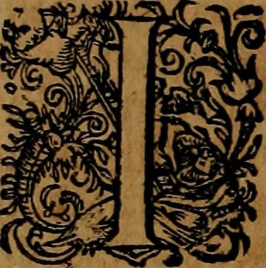 An illustration from Americæ nona & postrema pars : qua de ratione elementorum, de novi orbis natvra, de hvivs incolarvm svperstitiosis cultibus : deq; forma politiæ ac reipubl. ipsorum copiosè pertractatur : catalogo regnum Mexicanorum omnium, à primo vsq; ad vltimum Monteçuman II. additio ... : his accessit designatio illivs navigationis, quam 5. naves Hollandicae anno 1598. per fretum Magellanum in Moluccanas insulas tentarunt : quomodo nimirum oborta tempestate Capitaeus Sebalt de Weert à cæteris nauibus dispulsus, postquam plurimis mensibus in freto infinitis aerumnis miserè iactatus fuisset, tandem infectare post biennum an. 1600. domum reuersus sit : addita est tertio navigatio recens, quam 4. navium praefectus Olevier à Noort proximè suscepit ... : omnia è Germanico Latinitate donata, & insuper elegantissimis figuris æneis coornata editaq; sumptibus Theodori de Bry p.m. Viduæ & binorum filiorum, 1602, leaf 167