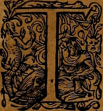 An illustration from Americæ nona & postrema pars : qua de ratione elementorum, de novi orbis natvra, de hvivs incolarvm svperstitiosis cultibus : deq; forma politiæ ac reipubl. ipsorum copiosè pertractatur : catalogo regnum Mexicanorum omnium, à primo vsq; ad vltimum Monteçuman II. additio ... : his accessit designatio illivs navigationis, quam 5. naves Hollandicae anno 1598. per fretum Magellanum in Moluccanas insulas tentarunt : quomodo nimirum oborta tempestate Capitaeus Sebalt de Weert à cæteris nauibus dispulsus, postquam plurimis mensibus in freto infinitis aerumnis miserè iactatus fuisset, tandem infectare post biennum an. 1600. domum reuersus sit : addita est tertio navigatio recens, quam 4. navium praefectus Olevier à Noort proximè suscepit ... : omnia è Germanico Latinitate donata, & insuper elegantissimis figuris æneis coornata editaq; sumptibus Theodori de Bry p.m. Viduæ & binorum filiorum, 1602, leaf 170