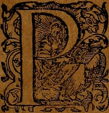 An illustration from Americæ nona & postrema pars : qua de ratione elementorum, de novi orbis natvra, de hvivs incolarvm svperstitiosis cultibus : deq; forma politiæ ac reipubl. ipsorum copiosè pertractatur : catalogo regnum Mexicanorum omnium, à primo vsq; ad vltimum Monteçuman II. additio ... : his accessit designatio illivs navigationis, quam 5. naves Hollandicae anno 1598. per fretum Magellanum in Moluccanas insulas tentarunt : quomodo nimirum oborta tempestate Capitaeus Sebalt de Weert à cæteris nauibus dispulsus, postquam plurimis mensibus in freto infinitis aerumnis miserè iactatus fuisset, tandem infectare post biennum an. 1600. domum reuersus sit : addita est tertio navigatio recens, quam 4. navium praefectus Olevier à Noort proximè suscepit ... : omnia è Germanico Latinitate donata, & insuper elegantissimis figuris æneis coornata editaq; sumptibus Theodori de Bry p.m. Viduæ & binorum filiorum, 1602, leaf 172