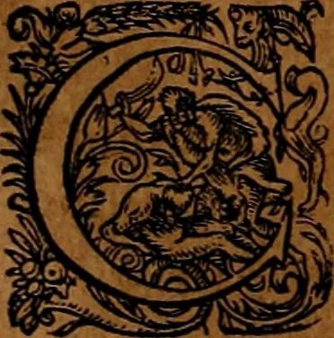 An illustration from Americæ nona & postrema pars : qua de ratione elementorum, de novi orbis natvra, de hvivs incolarvm svperstitiosis cultibus : deq; forma politiæ ac reipubl. ipsorum copiosè pertractatur : catalogo regnum Mexicanorum omnium, à primo vsq; ad vltimum Monteçuman II. additio ... : his accessit designatio illivs navigationis, quam 5. naves Hollandicae anno 1598. per fretum Magellanum in Moluccanas insulas tentarunt : quomodo nimirum oborta tempestate Capitaeus Sebalt de Weert à cæteris nauibus dispulsus, postquam plurimis mensibus in freto infinitis aerumnis miserè iactatus fuisset, tandem infectare post biennum an. 1600. domum reuersus sit : addita est tertio navigatio recens, quam 4. navium praefectus Olevier à Noort proximè suscepit ... : omnia è Germanico Latinitate donata, & insuper elegantissimis figuris æneis coornata editaq; sumptibus Theodori de Bry p.m. Viduæ & binorum filiorum, 1602, leaf 173
