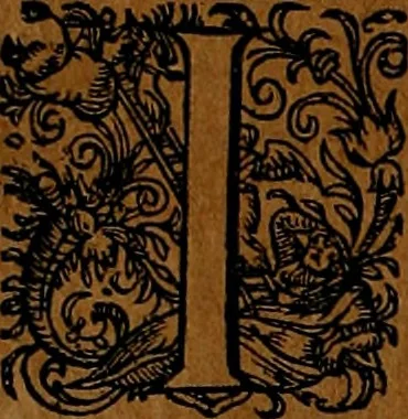 An illustration from Americæ nona & postrema pars : qua de ratione elementorum, de novi orbis natvra, de hvivs incolarvm svperstitiosis cultibus : deq; forma politiæ ac reipubl. ipsorum copiosè pertractatur : catalogo regnum Mexicanorum omnium, à primo vsq; ad vltimum Monteçuman II. additio ... : his accessit designatio illivs navigationis, quam 5. naves Hollandicae anno 1598. per fretum Magellanum in Moluccanas insulas tentarunt : quomodo nimirum oborta tempestate Capitaeus Sebalt de Weert à cæteris nauibus dispulsus, postquam plurimis mensibus in freto infinitis aerumnis miserè iactatus fuisset, tandem infectare post biennum an. 1600. domum reuersus sit : addita est tertio navigatio recens, quam 4. navium praefectus Olevier à Noort proximè suscepit ... : omnia è Germanico Latinitate donata, & insuper elegantissimis figuris æneis coornata editaq; sumptibus Theodori de Bry p.m. Viduæ & binorum filiorum, 1602, leaf 175