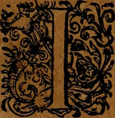 An illustration from Americæ nona & postrema pars : qua de ratione elementorum, de novi orbis natvra, de hvivs incolarvm svperstitiosis cultibus : deq; forma politiæ ac reipubl. ipsorum copiosè pertractatur : catalogo regnum Mexicanorum omnium, à primo vsq; ad vltimum Monteçuman II. additio ... : his accessit designatio illivs navigationis, quam 5. naves Hollandicae anno 1598. per fretum Magellanum in Moluccanas insulas tentarunt : quomodo nimirum oborta tempestate Capitaeus Sebalt de Weert à cæteris nauibus dispulsus, postquam plurimis mensibus in freto infinitis aerumnis miserè iactatus fuisset, tandem infectare post biennum an. 1600. domum reuersus sit : addita est tertio navigatio recens, quam 4. navium praefectus Olevier à Noort proximè suscepit ... : omnia è Germanico Latinitate donata, & insuper elegantissimis figuris æneis coornata editaq; sumptibus Theodori de Bry p.m. Viduæ & binorum filiorum, 1602, leaf 177