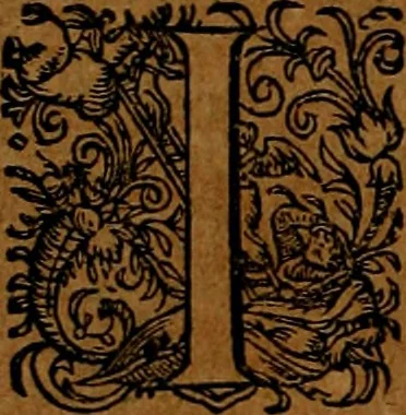 An illustration from Americæ nona & postrema pars : qua de ratione elementorum, de novi orbis natvra, de hvivs incolarvm svperstitiosis cultibus : deq; forma politiæ ac reipubl. ipsorum copiosè pertractatur : catalogo regnum Mexicanorum omnium, à primo vsq; ad vltimum Monteçuman II. additio ... : his accessit designatio illivs navigationis, quam 5. naves Hollandicae anno 1598. per fretum Magellanum in Moluccanas insulas tentarunt : quomodo nimirum oborta tempestate Capitaeus Sebalt de Weert à cæteris nauibus dispulsus, postquam plurimis mensibus in freto infinitis aerumnis miserè iactatus fuisset, tandem infectare post biennum an. 1600. domum reuersus sit : addita est tertio navigatio recens, quam 4. navium praefectus Olevier à Noort proximè suscepit ... : omnia è Germanico Latinitate donata, & insuper elegantissimis figuris æneis coornata editaq; sumptibus Theodori de Bry p.m. Viduæ & binorum filiorum, 1602, leaf 179