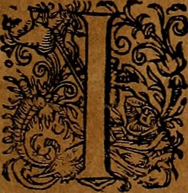 An illustration from Americæ nona & postrema pars : qua de ratione elementorum, de novi orbis natvra, de hvivs incolarvm svperstitiosis cultibus : deq; forma politiæ ac reipubl. ipsorum copiosè pertractatur : catalogo regnum Mexicanorum omnium, à primo vsq; ad vltimum Monteçuman II. additio ... : his accessit designatio illivs navigationis, quam 5. naves Hollandicae anno 1598. per fretum Magellanum in Moluccanas insulas tentarunt : quomodo nimirum oborta tempestate Capitaeus Sebalt de Weert à cæteris nauibus dispulsus, postquam plurimis mensibus in freto infinitis aerumnis miserè iactatus fuisset, tandem infectare post biennum an. 1600. domum reuersus sit : addita est tertio navigatio recens, quam 4. navium praefectus Olevier à Noort proximè suscepit ... : omnia è Germanico Latinitate donata, & insuper elegantissimis figuris æneis coornata editaq; sumptibus Theodori de Bry p.m. Viduæ & binorum filiorum, 1602, leaf 182