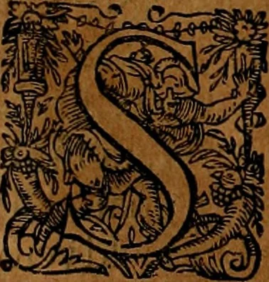 An illustration from Americæ nona & postrema pars : qua de ratione elementorum, de novi orbis natvra, de hvivs incolarvm svperstitiosis cultibus : deq; forma politiæ ac reipubl. ipsorum copiosè pertractatur : catalogo regnum Mexicanorum omnium, à primo vsq; ad vltimum Monteçuman II. additio ... : his accessit designatio illivs navigationis, quam 5. naves Hollandicae anno 1598. per fretum Magellanum in Moluccanas insulas tentarunt : quomodo nimirum oborta tempestate Capitaeus Sebalt de Weert à cæteris nauibus dispulsus, postquam plurimis mensibus in freto infinitis aerumnis miserè iactatus fuisset, tandem infectare post biennum an. 1600. domum reuersus sit : addita est tertio navigatio recens, quam 4. navium praefectus Olevier à Noort proximè suscepit ... : omnia è Germanico Latinitate donata, & insuper elegantissimis figuris æneis coornata editaq; sumptibus Theodori de Bry p.m. Viduæ & binorum filiorum, 1602, leaf 183