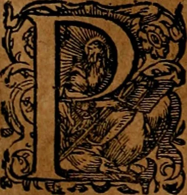An illustration from Americæ nona & postrema pars : qua de ratione elementorum, de novi orbis natvra, de hvivs incolarvm svperstitiosis cultibus : deq; forma politiæ ac reipubl. ipsorum copiosè pertractatur : catalogo regnum Mexicanorum omnium, à primo vsq; ad vltimum Monteçuman II. additio ... : his accessit designatio illivs navigationis, quam 5. naves Hollandicae anno 1598. per fretum Magellanum in Moluccanas insulas tentarunt : quomodo nimirum oborta tempestate Capitaeus Sebalt de Weert à cæteris nauibus dispulsus, postquam plurimis mensibus in freto infinitis aerumnis miserè iactatus fuisset, tandem infectare post biennum an. 1600. domum reuersus sit : addita est tertio navigatio recens, quam 4. navium praefectus Olevier à Noort proximè suscepit ... : omnia è Germanico Latinitate donata, & insuper elegantissimis figuris æneis coornata editaq; sumptibus Theodori de Bry p.m. Viduæ & binorum filiorum, 1602, leaf 185