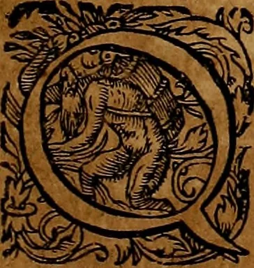An illustration from Americæ nona & postrema pars : qua de ratione elementorum, de novi orbis natvra, de hvivs incolarvm svperstitiosis cultibus : deq; forma politiæ ac reipubl. ipsorum copiosè pertractatur : catalogo regnum Mexicanorum omnium, à primo vsq; ad vltimum Monteçuman II. additio ... : his accessit designatio illivs navigationis, quam 5. naves Hollandicae anno 1598. per fretum Magellanum in Moluccanas insulas tentarunt : quomodo nimirum oborta tempestate Capitaeus Sebalt de Weert à cæteris nauibus dispulsus, postquam plurimis mensibus in freto infinitis aerumnis miserè iactatus fuisset, tandem infectare post biennum an. 1600. domum reuersus sit : addita est tertio navigatio recens, quam 4. navium praefectus Olevier à Noort proximè suscepit ... : omnia è Germanico Latinitate donata, & insuper elegantissimis figuris æneis coornata editaq; sumptibus Theodori de Bry p.m. Viduæ & binorum filiorum, 1602, leaf 190