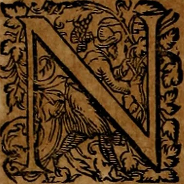 An illustration from Americæ nona & postrema pars : qua de ratione elementorum, de novi orbis natvra, de hvivs incolarvm svperstitiosis cultibus : deq; forma politiæ ac reipubl. ipsorum copiosè pertractatur : catalogo regnum Mexicanorum omnium, à primo vsq; ad vltimum Monteçuman II. additio ... : his accessit designatio illivs navigationis, quam 5. naves Hollandicae anno 1598. per fretum Magellanum in Moluccanas insulas tentarunt : quomodo nimirum oborta tempestate Capitaeus Sebalt de Weert à cæteris nauibus dispulsus, postquam plurimis mensibus in freto infinitis aerumnis miserè iactatus fuisset, tandem infectare post biennum an. 1600. domum reuersus sit : addita est tertio navigatio recens, quam 4. navium praefectus Olevier à Noort proximè suscepit ... : omnia è Germanico Latinitate donata, & insuper elegantissimis figuris æneis coornata editaq; sumptibus Theodori de Bry p.m. Viduæ & binorum filiorum, 1602, leaf 193