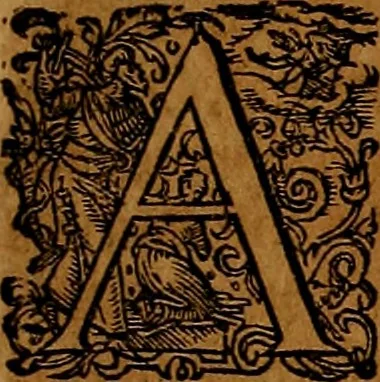 An illustration from Americæ nona & postrema pars : qua de ratione elementorum, de novi orbis natvra, de hvivs incolarvm svperstitiosis cultibus : deq; forma politiæ ac reipubl. ipsorum copiosè pertractatur : catalogo regnum Mexicanorum omnium, à primo vsq; ad vltimum Monteçuman II. additio ... : his accessit designatio illivs navigationis, quam 5. naves Hollandicae anno 1598. per fretum Magellanum in Moluccanas insulas tentarunt : quomodo nimirum oborta tempestate Capitaeus Sebalt de Weert à cæteris nauibus dispulsus, postquam plurimis mensibus in freto infinitis aerumnis miserè iactatus fuisset, tandem infectare post biennum an. 1600. domum reuersus sit : addita est tertio navigatio recens, quam 4. navium praefectus Olevier à Noort proximè suscepit ... : omnia è Germanico Latinitate donata, & insuper elegantissimis figuris æneis coornata editaq; sumptibus Theodori de Bry p.m. Viduæ & binorum filiorum, 1602, leaf 196