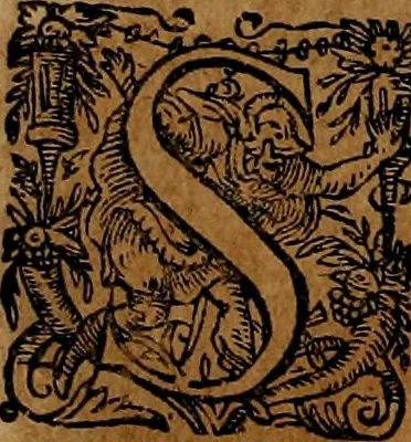 An illustration from Americæ nona & postrema pars : qua de ratione elementorum, de novi orbis natvra, de hvivs incolarvm svperstitiosis cultibus : deq; forma politiæ ac reipubl. ipsorum copiosè pertractatur : catalogo regnum Mexicanorum omnium, à primo vsq; ad vltimum Monteçuman II. additio ... : his accessit designatio illivs navigationis, quam 5. naves Hollandicae anno 1598. per fretum Magellanum in Moluccanas insulas tentarunt : quomodo nimirum oborta tempestate Capitaeus Sebalt de Weert à cæteris nauibus dispulsus, postquam plurimis mensibus in freto infinitis aerumnis miserè iactatus fuisset, tandem infectare post biennum an. 1600. domum reuersus sit : addita est tertio navigatio recens, quam 4. navium praefectus Olevier à Noort proximè suscepit ... : omnia è Germanico Latinitate donata, & insuper elegantissimis figuris æneis coornata editaq; sumptibus Theodori de Bry p.m. Viduæ & binorum filiorum, 1602, leaf 197