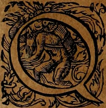 An illustration from Americæ nona & postrema pars : qua de ratione elementorum, de novi orbis natvra, de hvivs incolarvm svperstitiosis cultibus : deq; forma politiæ ac reipubl. ipsorum copiosè pertractatur : catalogo regnum Mexicanorum omnium, à primo vsq; ad vltimum Monteçuman II. additio ... : his accessit designatio illivs navigationis, quam 5. naves Hollandicae anno 1598. per fretum Magellanum in Moluccanas insulas tentarunt : quomodo nimirum oborta tempestate Capitaeus Sebalt de Weert à cæteris nauibus dispulsus, postquam plurimis mensibus in freto infinitis aerumnis miserè iactatus fuisset, tandem infectare post biennum an. 1600. domum reuersus sit : addita est tertio navigatio recens, quam 4. navium praefectus Olevier à Noort proximè suscepit ... : omnia è Germanico Latinitate donata, & insuper elegantissimis figuris æneis coornata editaq; sumptibus Theodori de Bry p.m. Viduæ & binorum filiorum, 1602, leaf 199