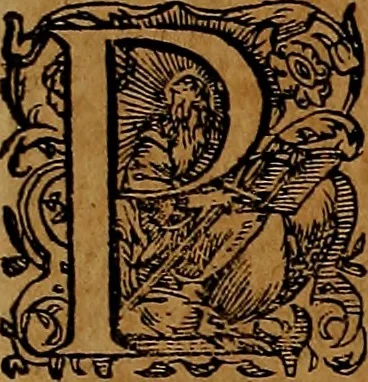 An illustration from Americæ nona & postrema pars : qua de ratione elementorum, de novi orbis natvra, de hvivs incolarvm svperstitiosis cultibus : deq; forma politiæ ac reipubl. ipsorum copiosè pertractatur : catalogo regnum Mexicanorum omnium, à primo vsq; ad vltimum Monteçuman II. additio ... : his accessit designatio illivs navigationis, quam 5. naves Hollandicae anno 1598. per fretum Magellanum in Moluccanas insulas tentarunt : quomodo nimirum oborta tempestate Capitaeus Sebalt de Weert à cæteris nauibus dispulsus, postquam plurimis mensibus in freto infinitis aerumnis miserè iactatus fuisset, tandem infectare post biennum an. 1600. domum reuersus sit : addita est tertio navigatio recens, quam 4. navium praefectus Olevier à Noort proximè suscepit ... : omnia è Germanico Latinitate donata, & insuper elegantissimis figuris æneis coornata editaq; sumptibus Theodori de Bry p.m. Viduæ & binorum filiorum, 1602, leaf 20