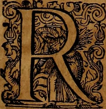 An illustration from Americæ nona & postrema pars : qua de ratione elementorum, de novi orbis natvra, de hvivs incolarvm svperstitiosis cultibus : deq; forma politiæ ac reipubl. ipsorum copiosè pertractatur : catalogo regnum Mexicanorum omnium, à primo vsq; ad vltimum Monteçuman II. additio ... : his accessit designatio illivs navigationis, quam 5. naves Hollandicae anno 1598. per fretum Magellanum in Moluccanas insulas tentarunt : quomodo nimirum oborta tempestate Capitaeus Sebalt de Weert à cæteris nauibus dispulsus, postquam plurimis mensibus in freto infinitis aerumnis miserè iactatus fuisset, tandem infectare post biennum an. 1600. domum reuersus sit : addita est tertio navigatio recens, quam 4. navium praefectus Olevier à Noort proximè suscepit ... : omnia è Germanico Latinitate donata, & insuper elegantissimis figuris æneis coornata editaq; sumptibus Theodori de Bry p.m. Viduæ & binorum filiorum, 1602, leaf 204