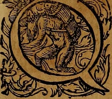 An illustration from Americæ nona & postrema pars : qua de ratione elementorum, de novi orbis natvra, de hvivs incolarvm svperstitiosis cultibus : deq; forma politiæ ac reipubl. ipsorum copiosè pertractatur : catalogo regnum Mexicanorum omnium, à primo vsq; ad vltimum Monteçuman II. additio ... : his accessit designatio illivs navigationis, quam 5. naves Hollandicae anno 1598. per fretum Magellanum in Moluccanas insulas tentarunt : quomodo nimirum oborta tempestate Capitaeus Sebalt de Weert à cæteris nauibus dispulsus, postquam plurimis mensibus in freto infinitis aerumnis miserè iactatus fuisset, tandem infectare post biennum an. 1600. domum reuersus sit : addita est tertio navigatio recens, quam 4. navium praefectus Olevier à Noort proximè suscepit ... : omnia è Germanico Latinitate donata, & insuper elegantissimis figuris æneis coornata editaq; sumptibus Theodori de Bry p.m. Viduæ & binorum filiorum, 1602, leaf 206