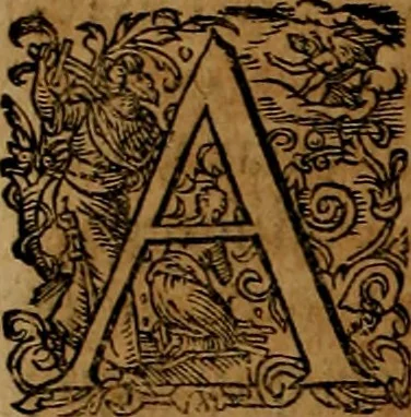 An illustration from Americæ nona & postrema pars : qua de ratione elementorum, de novi orbis natvra, de hvivs incolarvm svperstitiosis cultibus : deq; forma politiæ ac reipubl. ipsorum copiosè pertractatur : catalogo regnum Mexicanorum omnium, à primo vsq; ad vltimum Monteçuman II. additio ... : his accessit designatio illivs navigationis, quam 5. naves Hollandicae anno 1598. per fretum Magellanum in Moluccanas insulas tentarunt : quomodo nimirum oborta tempestate Capitaeus Sebalt de Weert à cæteris nauibus dispulsus, postquam plurimis mensibus in freto infinitis aerumnis miserè iactatus fuisset, tandem infectare post biennum an. 1600. domum reuersus sit : addita est tertio navigatio recens, quam 4. navium praefectus Olevier à Noort proximè suscepit ... : omnia è Germanico Latinitate donata, & insuper elegantissimis figuris æneis coornata editaq; sumptibus Theodori de Bry p.m. Viduæ & binorum filiorum, 1602, leaf 209