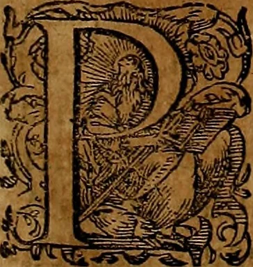 An illustration from Americæ nona & postrema pars : qua de ratione elementorum, de novi orbis natvra, de hvivs incolarvm svperstitiosis cultibus : deq; forma politiæ ac reipubl. ipsorum copiosè pertractatur : catalogo regnum Mexicanorum omnium, à primo vsq; ad vltimum Monteçuman II. additio ... : his accessit designatio illivs navigationis, quam 5. naves Hollandicae anno 1598. per fretum Magellanum in Moluccanas insulas tentarunt : quomodo nimirum oborta tempestate Capitaeus Sebalt de Weert à cæteris nauibus dispulsus, postquam plurimis mensibus in freto infinitis aerumnis miserè iactatus fuisset, tandem infectare post biennum an. 1600. domum reuersus sit : addita est tertio navigatio recens, quam 4. navium praefectus Olevier à Noort proximè suscepit ... : omnia è Germanico Latinitate donata, & insuper elegantissimis figuris æneis coornata editaq; sumptibus Theodori de Bry p.m. Viduæ & binorum filiorum, 1602, leaf 210