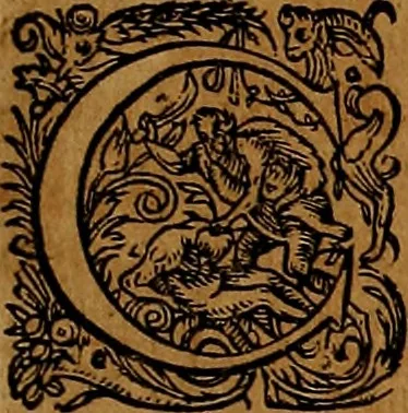 An illustration from Americæ nona & postrema pars : qua de ratione elementorum, de novi orbis natvra, de hvivs incolarvm svperstitiosis cultibus : deq; forma politiæ ac reipubl. ipsorum copiosè pertractatur : catalogo regnum Mexicanorum omnium, à primo vsq; ad vltimum Monteçuman II. additio ... : his accessit designatio illivs navigationis, quam 5. naves Hollandicae anno 1598. per fretum Magellanum in Moluccanas insulas tentarunt : quomodo nimirum oborta tempestate Capitaeus Sebalt de Weert à cæteris nauibus dispulsus, postquam plurimis mensibus in freto infinitis aerumnis miserè iactatus fuisset, tandem infectare post biennum an. 1600. domum reuersus sit : addita est tertio navigatio recens, quam 4. navium praefectus Olevier à Noort proximè suscepit ... : omnia è Germanico Latinitate donata, & insuper elegantissimis figuris æneis coornata editaq; sumptibus Theodori de Bry p.m. Viduæ & binorum filiorum, 1602, leaf 212