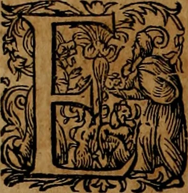 An illustration from Americæ nona & postrema pars : qua de ratione elementorum, de novi orbis natvra, de hvivs incolarvm svperstitiosis cultibus : deq; forma politiæ ac reipubl. ipsorum copiosè pertractatur : catalogo regnum Mexicanorum omnium, à primo vsq; ad vltimum Monteçuman II. additio ... : his accessit designatio illivs navigationis, quam 5. naves Hollandicae anno 1598. per fretum Magellanum in Moluccanas insulas tentarunt : quomodo nimirum oborta tempestate Capitaeus Sebalt de Weert à cæteris nauibus dispulsus, postquam plurimis mensibus in freto infinitis aerumnis miserè iactatus fuisset, tandem infectare post biennum an. 1600. domum reuersus sit : addita est tertio navigatio recens, quam 4. navium praefectus Olevier à Noort proximè suscepit ... : omnia è Germanico Latinitate donata, & insuper elegantissimis figuris æneis coornata editaq; sumptibus Theodori de Bry p.m. Viduæ & binorum filiorum, 1602, leaf 213