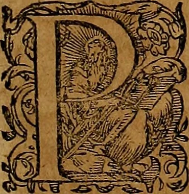 An illustration from Americæ nona & postrema pars : qua de ratione elementorum, de novi orbis natvra, de hvivs incolarvm svperstitiosis cultibus : deq; forma politiæ ac reipubl. ipsorum copiosè pertractatur : catalogo regnum Mexicanorum omnium, à primo vsq; ad vltimum Monteçuman II. additio ... : his accessit designatio illivs navigationis, quam 5. naves Hollandicae anno 1598. per fretum Magellanum in Moluccanas insulas tentarunt : quomodo nimirum oborta tempestate Capitaeus Sebalt de Weert à cæteris nauibus dispulsus, postquam plurimis mensibus in freto infinitis aerumnis miserè iactatus fuisset, tandem infectare post biennum an. 1600. domum reuersus sit : addita est tertio navigatio recens, quam 4. navium praefectus Olevier à Noort proximè suscepit ... : omnia è Germanico Latinitate donata, & insuper elegantissimis figuris æneis coornata editaq; sumptibus Theodori de Bry p.m. Viduæ & binorum filiorum, 1602, leaf 214