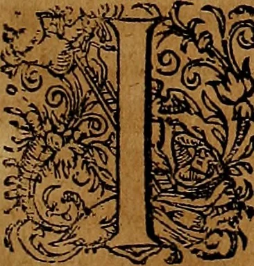 An illustration from Americæ nona & postrema pars : qua de ratione elementorum, de novi orbis natvra, de hvivs incolarvm svperstitiosis cultibus : deq; forma politiæ ac reipubl. ipsorum copiosè pertractatur : catalogo regnum Mexicanorum omnium, à primo vsq; ad vltimum Monteçuman II. additio ... : his accessit designatio illivs navigationis, quam 5. naves Hollandicae anno 1598. per fretum Magellanum in Moluccanas insulas tentarunt : quomodo nimirum oborta tempestate Capitaeus Sebalt de Weert à cæteris nauibus dispulsus, postquam plurimis mensibus in freto infinitis aerumnis miserè iactatus fuisset, tandem infectare post biennum an. 1600. domum reuersus sit : addita est tertio navigatio recens, quam 4. navium praefectus Olevier à Noort proximè suscepit ... : omnia è Germanico Latinitate donata, & insuper elegantissimis figuris æneis coornata editaq; sumptibus Theodori de Bry p.m. Viduæ & binorum filiorum, 1602, leaf 216