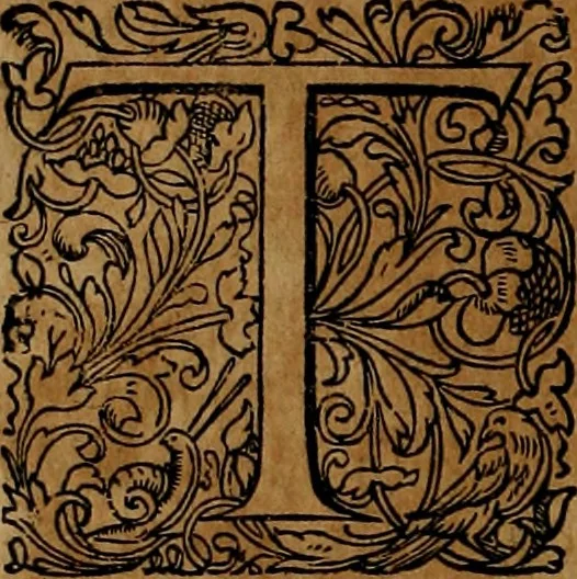 An illustration from Americæ nona & postrema pars : qua de ratione elementorum, de novi orbis natvra, de hvivs incolarvm svperstitiosis cultibus : deq; forma politiæ ac reipubl. ipsorum copiosè pertractatur : catalogo regnum Mexicanorum omnium, à primo vsq; ad vltimum Monteçuman II. additio ... : his accessit designatio illivs navigationis, quam 5. naves Hollandicae anno 1598. per fretum Magellanum in Moluccanas insulas tentarunt : quomodo nimirum oborta tempestate Capitaeus Sebalt de Weert à cæteris nauibus dispulsus, postquam plurimis mensibus in freto infinitis aerumnis miserè iactatus fuisset, tandem infectare post biennum an. 1600. domum reuersus sit : addita est tertio navigatio recens, quam 4. navium praefectus Olevier à Noort proximè suscepit ... : omnia è Germanico Latinitate donata, & insuper elegantissimis figuris æneis coornata editaq; sumptibus Theodori de Bry p.m. Viduæ & binorum filiorum, 1602, leaf 219