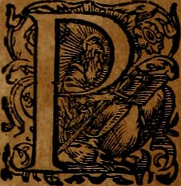 An illustration from Americæ nona & postrema pars : qua de ratione elementorum, de novi orbis natvra, de hvivs incolarvm svperstitiosis cultibus : deq; forma politiæ ac reipubl. ipsorum copiosè pertractatur : catalogo regnum Mexicanorum omnium, à primo vsq; ad vltimum Monteçuman II. additio ... : his accessit designatio illivs navigationis, quam 5. naves Hollandicae anno 1598. per fretum Magellanum in Moluccanas insulas tentarunt : quomodo nimirum oborta tempestate Capitaeus Sebalt de Weert à cæteris nauibus dispulsus, postquam plurimis mensibus in freto infinitis aerumnis miserè iactatus fuisset, tandem infectare post biennum an. 1600. domum reuersus sit : addita est tertio navigatio recens, quam 4. navium praefectus Olevier à Noort proximè suscepit ... : omnia è Germanico Latinitate donata, & insuper elegantissimis figuris æneis coornata editaq; sumptibus Theodori de Bry p.m. Viduæ & binorum filiorum, 1602, leaf 223