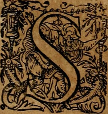 An illustration from Americæ nona & postrema pars : qua de ratione elementorum, de novi orbis natvra, de hvivs incolarvm svperstitiosis cultibus : deq; forma politiæ ac reipubl. ipsorum copiosè pertractatur : catalogo regnum Mexicanorum omnium, à primo vsq; ad vltimum Monteçuman II. additio ... : his accessit designatio illivs navigationis, quam 5. naves Hollandicae anno 1598. per fretum Magellanum in Moluccanas insulas tentarunt : quomodo nimirum oborta tempestate Capitaeus Sebalt de Weert à cæteris nauibus dispulsus, postquam plurimis mensibus in freto infinitis aerumnis miserè iactatus fuisset, tandem infectare post biennum an. 1600. domum reuersus sit : addita est tertio navigatio recens, quam 4. navium praefectus Olevier à Noort proximè suscepit ... : omnia è Germanico Latinitate donata, & insuper elegantissimis figuris æneis coornata editaq; sumptibus Theodori de Bry p.m. Viduæ & binorum filiorum, 1602, leaf 227