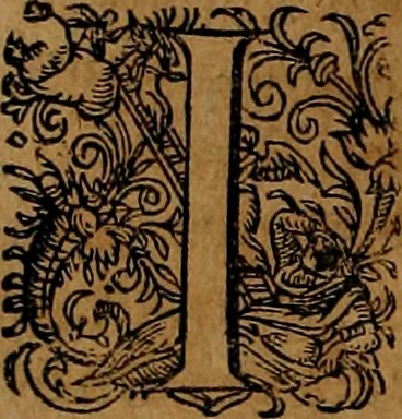 An illustration from Americæ nona & postrema pars : qua de ratione elementorum, de novi orbis natvra, de hvivs incolarvm svperstitiosis cultibus : deq; forma politiæ ac reipubl. ipsorum copiosè pertractatur : catalogo regnum Mexicanorum omnium, à primo vsq; ad vltimum Monteçuman II. additio ... : his accessit designatio illivs navigationis, quam 5. naves Hollandicae anno 1598. per fretum Magellanum in Moluccanas insulas tentarunt : quomodo nimirum oborta tempestate Capitaeus Sebalt de Weert à cæteris nauibus dispulsus, postquam plurimis mensibus in freto infinitis aerumnis miserè iactatus fuisset, tandem infectare post biennum an. 1600. domum reuersus sit : addita est tertio navigatio recens, quam 4. navium praefectus Olevier à Noort proximè suscepit ... : omnia è Germanico Latinitate donata, & insuper elegantissimis figuris æneis coornata editaq; sumptibus Theodori de Bry p.m. Viduæ & binorum filiorum, 1602, leaf 229