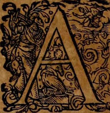 An illustration from Americæ nona & postrema pars : qua de ratione elementorum, de novi orbis natvra, de hvivs incolarvm svperstitiosis cultibus : deq; forma politiæ ac reipubl. ipsorum copiosè pertractatur : catalogo regnum Mexicanorum omnium, à primo vsq; ad vltimum Monteçuman II. additio ... : his accessit designatio illivs navigationis, quam 5. naves Hollandicae anno 1598. per fretum Magellanum in Moluccanas insulas tentarunt : quomodo nimirum oborta tempestate Capitaeus Sebalt de Weert à cæteris nauibus dispulsus, postquam plurimis mensibus in freto infinitis aerumnis miserè iactatus fuisset, tandem infectare post biennum an. 1600. domum reuersus sit : addita est tertio navigatio recens, quam 4. navium praefectus Olevier à Noort proximè suscepit ... : omnia è Germanico Latinitate donata, & insuper elegantissimis figuris æneis coornata editaq; sumptibus Theodori de Bry p.m. Viduæ & binorum filiorum, 1602, leaf 237