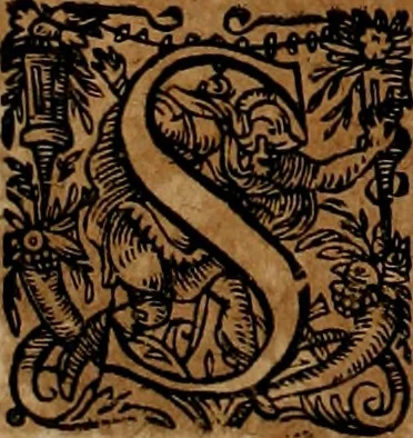 An illustration from Americæ nona & postrema pars : qua de ratione elementorum, de novi orbis natvra, de hvivs incolarvm svperstitiosis cultibus : deq; forma politiæ ac reipubl. ipsorum copiosè pertractatur : catalogo regnum Mexicanorum omnium, à primo vsq; ad vltimum Monteçuman II. additio ... : his accessit designatio illivs navigationis, quam 5. naves Hollandicae anno 1598. per fretum Magellanum in Moluccanas insulas tentarunt : quomodo nimirum oborta tempestate Capitaeus Sebalt de Weert à cæteris nauibus dispulsus, postquam plurimis mensibus in freto infinitis aerumnis miserè iactatus fuisset, tandem infectare post biennum an. 1600. domum reuersus sit : addita est tertio navigatio recens, quam 4. navium praefectus Olevier à Noort proximè suscepit ... : omnia è Germanico Latinitate donata, & insuper elegantissimis figuris æneis coornata editaq; sumptibus Theodori de Bry p.m. Viduæ & binorum filiorum, 1602, leaf 237