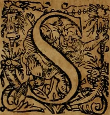 An illustration from Americæ nona & postrema pars : qua de ratione elementorum, de novi orbis natvra, de hvivs incolarvm svperstitiosis cultibus : deq; forma politiæ ac reipubl. ipsorum copiosè pertractatur : catalogo regnum Mexicanorum omnium, à primo vsq; ad vltimum Monteçuman II. additio ... : his accessit designatio illivs navigationis, quam 5. naves Hollandicae anno 1598. per fretum Magellanum in Moluccanas insulas tentarunt : quomodo nimirum oborta tempestate Capitaeus Sebalt de Weert à cæteris nauibus dispulsus, postquam plurimis mensibus in freto infinitis aerumnis miserè iactatus fuisset, tandem infectare post biennum an. 1600. domum reuersus sit : addita est tertio navigatio recens, quam 4. navium praefectus Olevier à Noort proximè suscepit ... : omnia è Germanico Latinitate donata, & insuper elegantissimis figuris æneis coornata editaq; sumptibus Theodori de Bry p.m. Viduæ & binorum filiorum, 1602, leaf 239