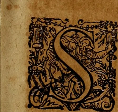 An illustration from Americæ nona & postrema pars : qua de ratione elementorum, de novi orbis natvra, de hvivs incolarvm svperstitiosis cultibus : deq; forma politiæ ac reipubl. ipsorum copiosè pertractatur : catalogo regnum Mexicanorum omnium, à primo vsq; ad vltimum Monteçuman II. additio ... : his accessit designatio illivs navigationis, quam 5. naves Hollandicae anno 1598. per fretum Magellanum in Moluccanas insulas tentarunt : quomodo nimirum oborta tempestate Capitaeus Sebalt de Weert à cæteris nauibus dispulsus, postquam plurimis mensibus in freto infinitis aerumnis miserè iactatus fuisset, tandem infectare post biennum an. 1600. domum reuersus sit : addita est tertio navigatio recens, quam 4. navium praefectus Olevier à Noort proximè suscepit ... : omnia è Germanico Latinitate donata, & insuper elegantissimis figuris æneis coornata editaq; sumptibus Theodori de Bry p.m. Viduæ & binorum filiorum, 1602, leaf 242