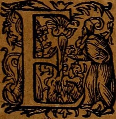An illustration from Americæ nona & postrema pars : qua de ratione elementorum, de novi orbis natvra, de hvivs incolarvm svperstitiosis cultibus : deq; forma politiæ ac reipubl. ipsorum copiosè pertractatur : catalogo regnum Mexicanorum omnium, à primo vsq; ad vltimum Monteçuman II. additio ... : his accessit designatio illivs navigationis, quam 5. naves Hollandicae anno 1598. per fretum Magellanum in Moluccanas insulas tentarunt : quomodo nimirum oborta tempestate Capitaeus Sebalt de Weert à cæteris nauibus dispulsus, postquam plurimis mensibus in freto infinitis aerumnis miserè iactatus fuisset, tandem infectare post biennum an. 1600. domum reuersus sit : addita est tertio navigatio recens, quam 4. navium praefectus Olevier à Noort proximè suscepit ... : omnia è Germanico Latinitate donata, & insuper elegantissimis figuris æneis coornata editaq; sumptibus Theodori de Bry p.m. Viduæ & binorum filiorum, 1602, leaf 244