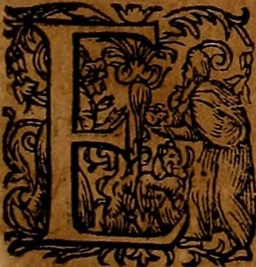An illustration from Americæ nona & postrema pars : qua de ratione elementorum, de novi orbis natvra, de hvivs incolarvm svperstitiosis cultibus : deq; forma politiæ ac reipubl. ipsorum copiosè pertractatur : catalogo regnum Mexicanorum omnium, à primo vsq; ad vltimum Monteçuman II. additio ... : his accessit designatio illivs navigationis, quam 5. naves Hollandicae anno 1598. per fretum Magellanum in Moluccanas insulas tentarunt : quomodo nimirum oborta tempestate Capitaeus Sebalt de Weert à cæteris nauibus dispulsus, postquam plurimis mensibus in freto infinitis aerumnis miserè iactatus fuisset, tandem infectare post biennum an. 1600. domum reuersus sit : addita est tertio navigatio recens, quam 4. navium praefectus Olevier à Noort proximè suscepit ... : omnia è Germanico Latinitate donata, & insuper elegantissimis figuris æneis coornata editaq; sumptibus Theodori de Bry p.m. Viduæ & binorum filiorum, 1602, leaf 250