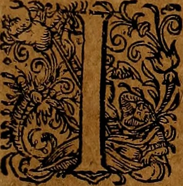 An illustration from Americæ nona & postrema pars : qua de ratione elementorum, de novi orbis natvra, de hvivs incolarvm svperstitiosis cultibus : deq; forma politiæ ac reipubl. ipsorum copiosè pertractatur : catalogo regnum Mexicanorum omnium, à primo vsq; ad vltimum Monteçuman II. additio ... : his accessit designatio illivs navigationis, quam 5. naves Hollandicae anno 1598. per fretum Magellanum in Moluccanas insulas tentarunt : quomodo nimirum oborta tempestate Capitaeus Sebalt de Weert à cæteris nauibus dispulsus, postquam plurimis mensibus in freto infinitis aerumnis miserè iactatus fuisset, tandem infectare post biennum an. 1600. domum reuersus sit : addita est tertio navigatio recens, quam 4. navium praefectus Olevier à Noort proximè suscepit ... : omnia è Germanico Latinitate donata, & insuper elegantissimis figuris æneis coornata editaq; sumptibus Theodori de Bry p.m. Viduæ & binorum filiorum, 1602, leaf 254