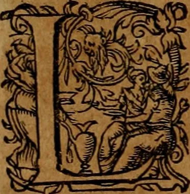 An illustration from Americæ nona & postrema pars : qua de ratione elementorum, de novi orbis natvra, de hvivs incolarvm svperstitiosis cultibus : deq; forma politiæ ac reipubl. ipsorum copiosè pertractatur : catalogo regnum Mexicanorum omnium, à primo vsq; ad vltimum Monteçuman II. additio ... : his accessit designatio illivs navigationis, quam 5. naves Hollandicae anno 1598. per fretum Magellanum in Moluccanas insulas tentarunt : quomodo nimirum oborta tempestate Capitaeus Sebalt de Weert à cæteris nauibus dispulsus, postquam plurimis mensibus in freto infinitis aerumnis miserè iactatus fuisset, tandem infectare post biennum an. 1600. domum reuersus sit : addita est tertio navigatio recens, quam 4. navium praefectus Olevier à Noort proximè suscepit ... : omnia è Germanico Latinitate donata, & insuper elegantissimis figuris æneis coornata editaq; sumptibus Theodori de Bry p.m. Viduæ & binorum filiorum, 1602, leaf 259