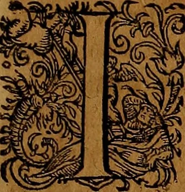 An illustration from Americæ nona & postrema pars : qua de ratione elementorum, de novi orbis natvra, de hvivs incolarvm svperstitiosis cultibus : deq; forma politiæ ac reipubl. ipsorum copiosè pertractatur : catalogo regnum Mexicanorum omnium, à primo vsq; ad vltimum Monteçuman II. additio ... : his accessit designatio illivs navigationis, quam 5. naves Hollandicae anno 1598. per fretum Magellanum in Moluccanas insulas tentarunt : quomodo nimirum oborta tempestate Capitaeus Sebalt de Weert à cæteris nauibus dispulsus, postquam plurimis mensibus in freto infinitis aerumnis miserè iactatus fuisset, tandem infectare post biennum an. 1600. domum reuersus sit : addita est tertio navigatio recens, quam 4. navium praefectus Olevier à Noort proximè suscepit ... : omnia è Germanico Latinitate donata, & insuper elegantissimis figuris æneis coornata editaq; sumptibus Theodori de Bry p.m. Viduæ & binorum filiorum, 1602, leaf 262